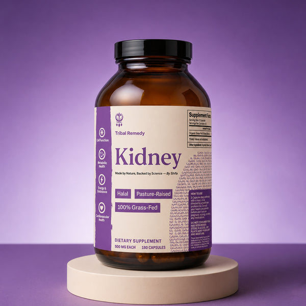 Kidney