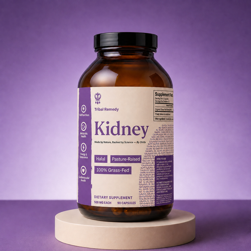 Kidney