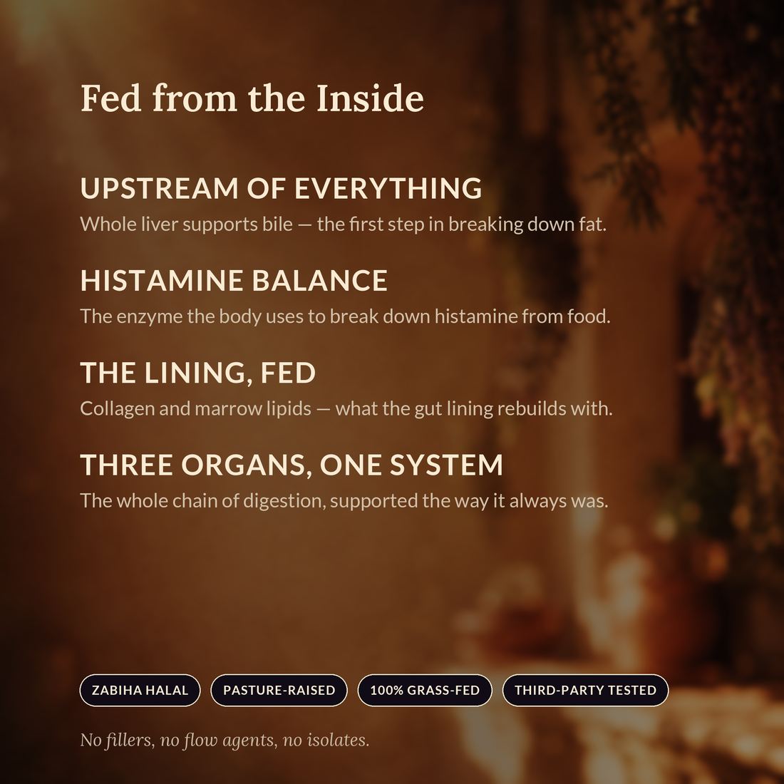 The Gut Reset