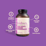 The Gut Reset