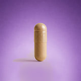 Kidney