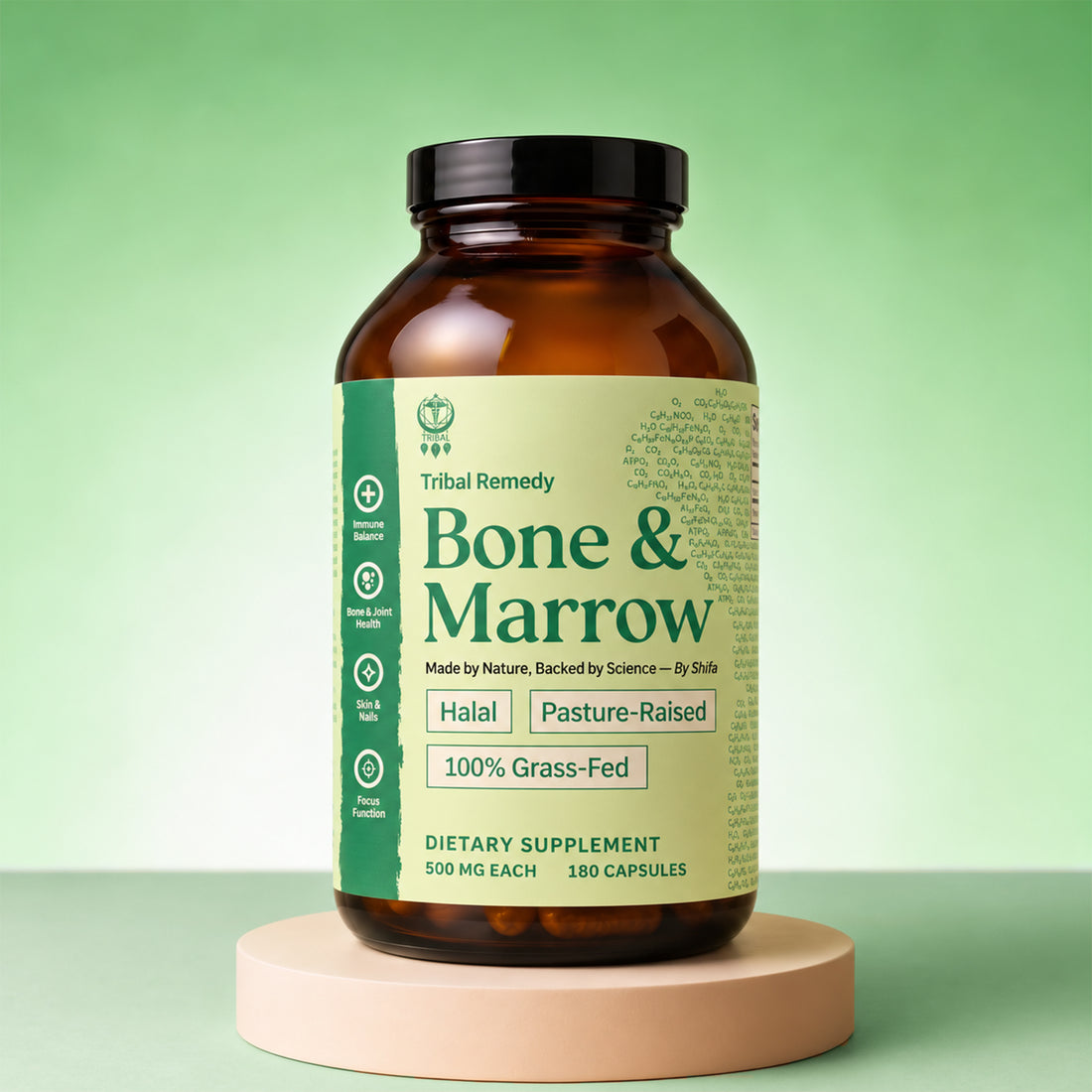 Bone & Marrow