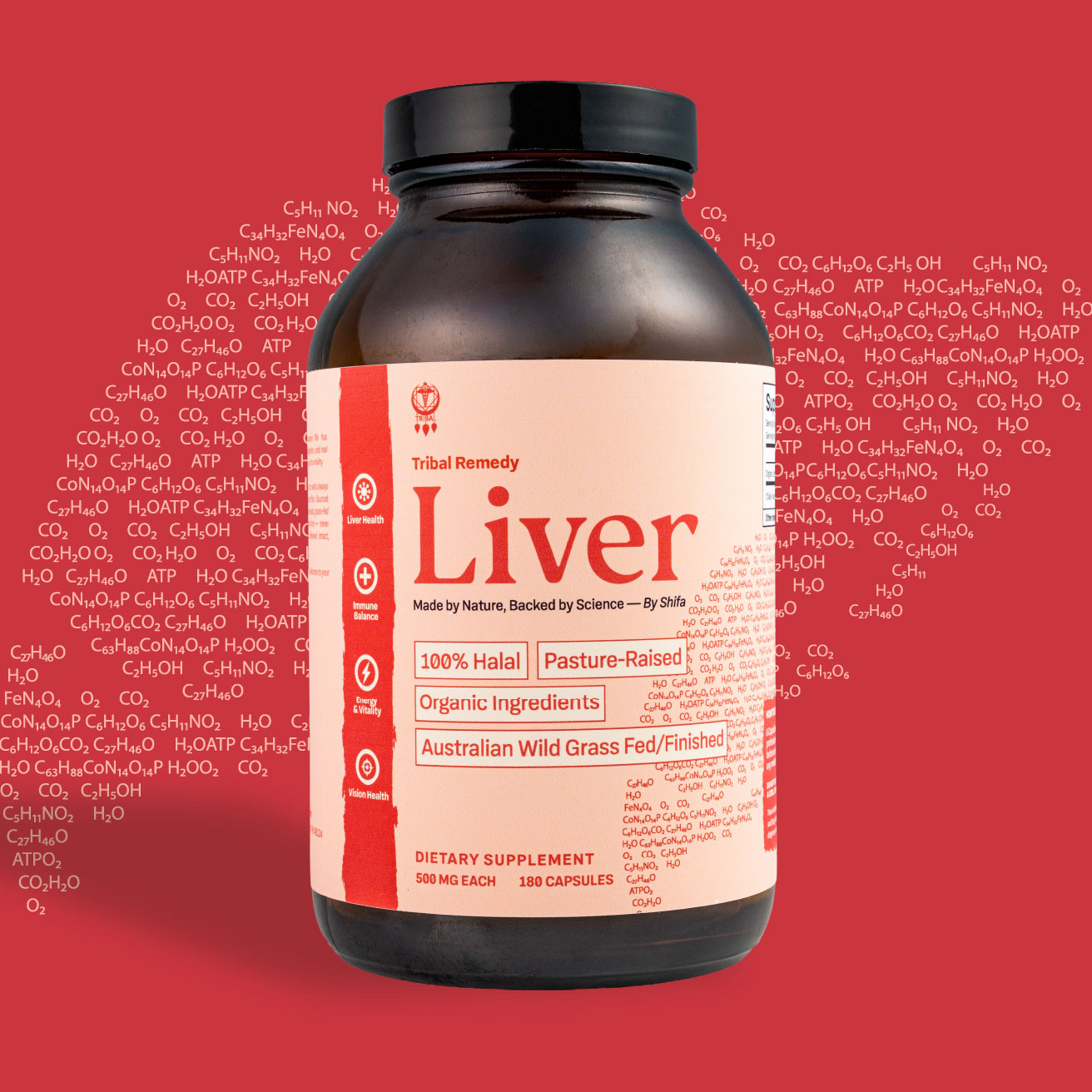 Liver