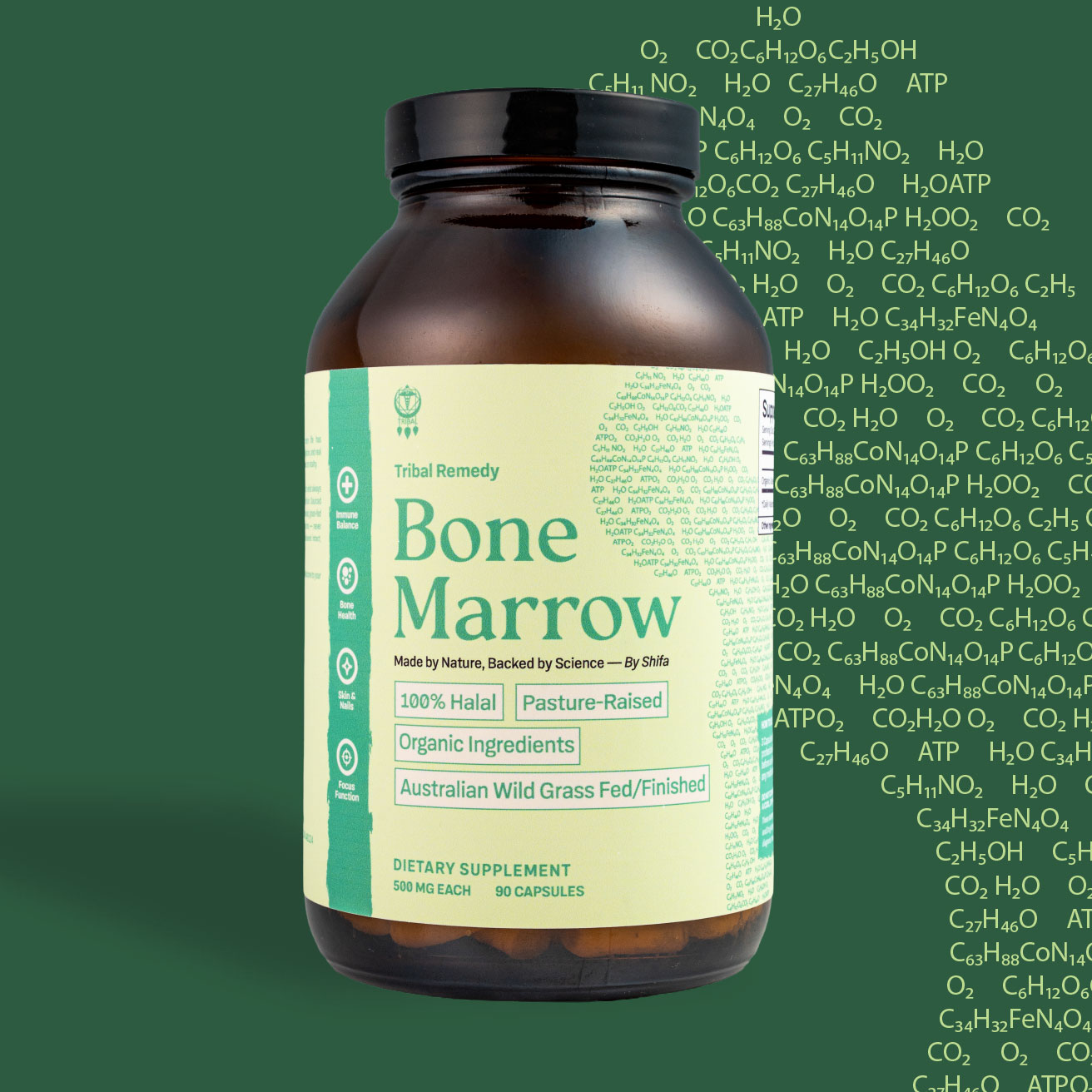 Bone Marrow