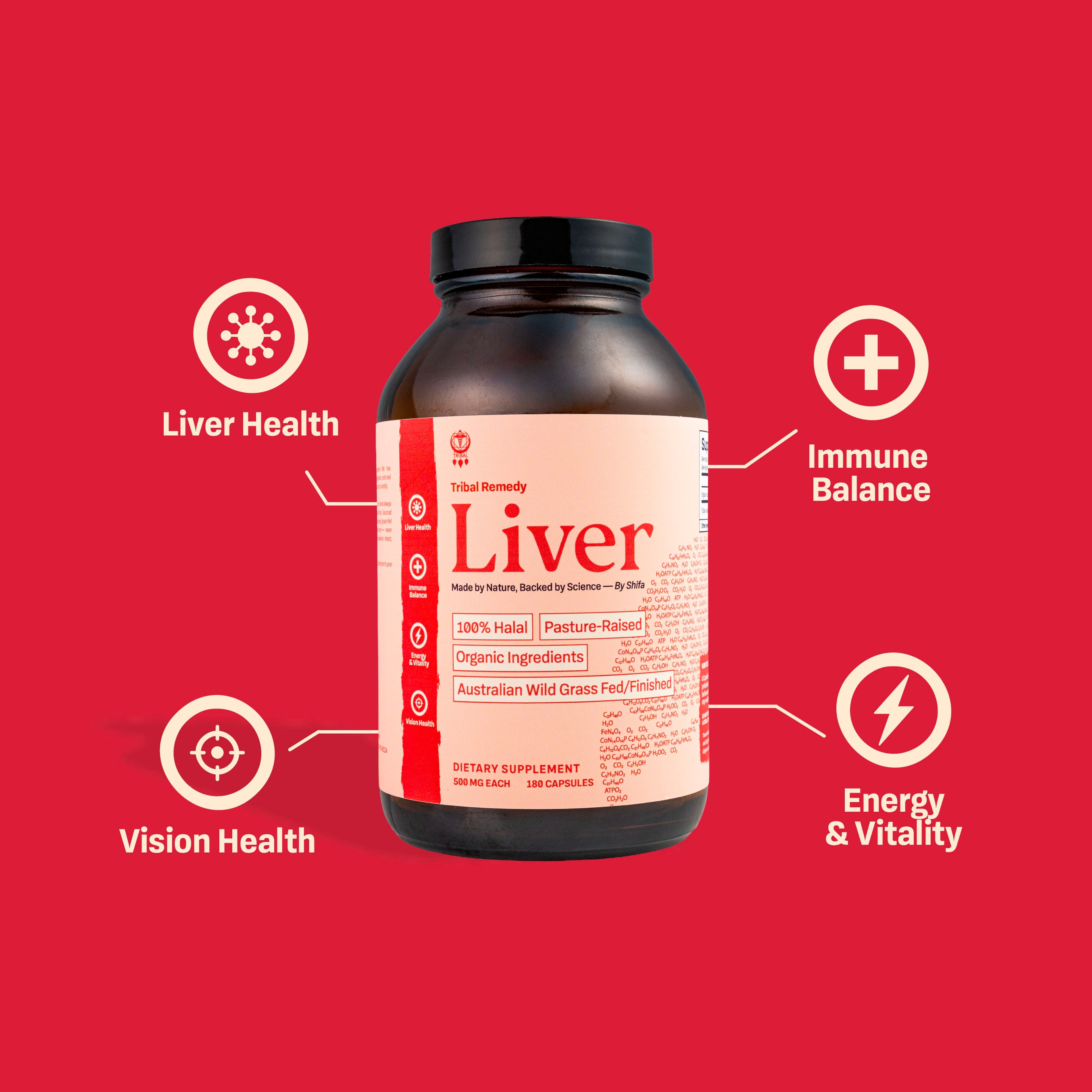 Liver