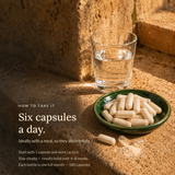 How to take SHIFA Bone & Marrow — six capsules a day