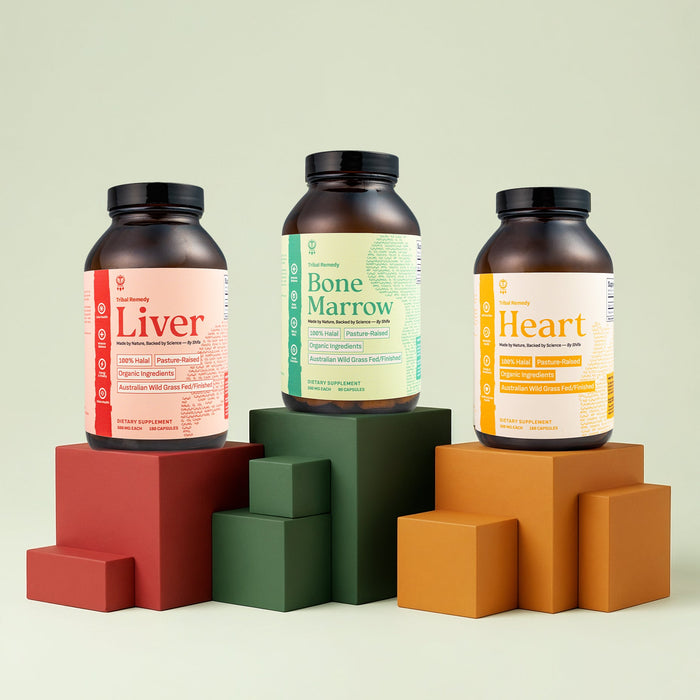 Three supplement bottles labeled 'Liver', 'Bone Marrow', and 'Heart' on colorful geometric blocks against a light green background.