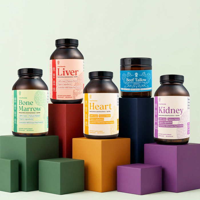 Collection of supplement bottles labeled 'Bone Marrow', 'Liver', 'Heart', 'Beef Tallow', and 'Kidney' on colorful geometric blocks.