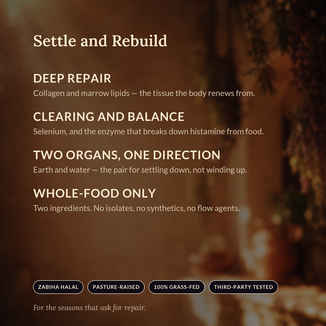 Settle and Rebuild — Calm & Restore bundle benefits panel