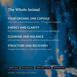 The Whole Animal — SHIFA Complete benefits panel: four organs, one capsule