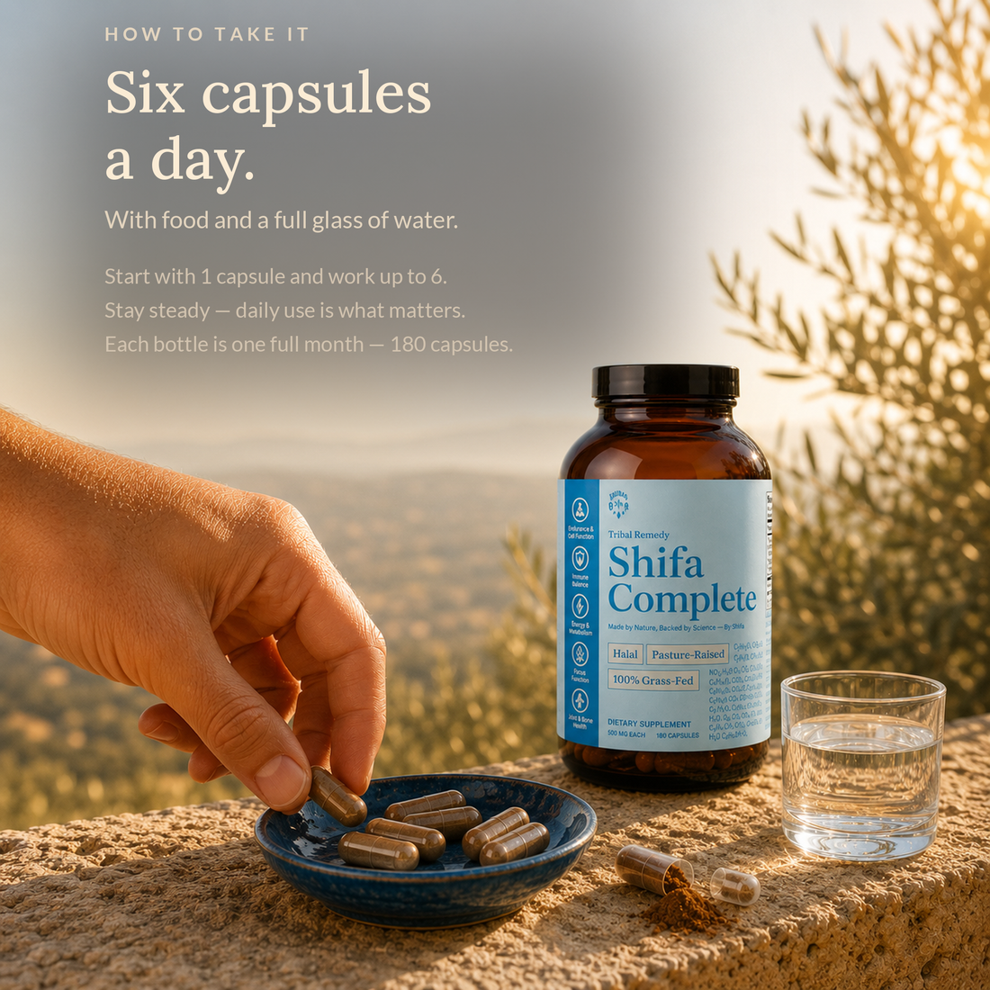 How to take SHIFA Complete — six capsules a day, bottle at dusk
