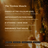 The Tireless Muscle — SHIFA Heart benefits panel: CoQ10, B vitamins and heme iron