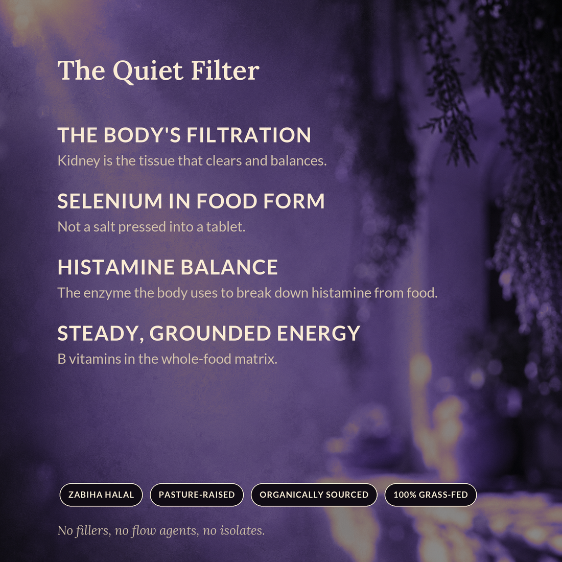 The Quiet Filter — SHIFA Kidney benefits panel: selenium in food form and B vitamins