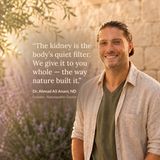 Dr. Ahmad Ali Anani ND — the kidney is the body’s quiet filter