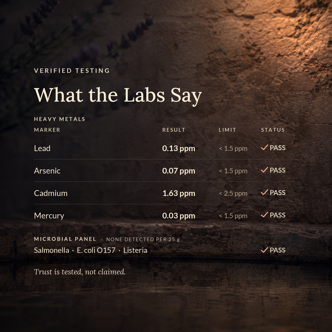 SHIFA Kidney third-party lab results — heavy metals tested, all markers pass