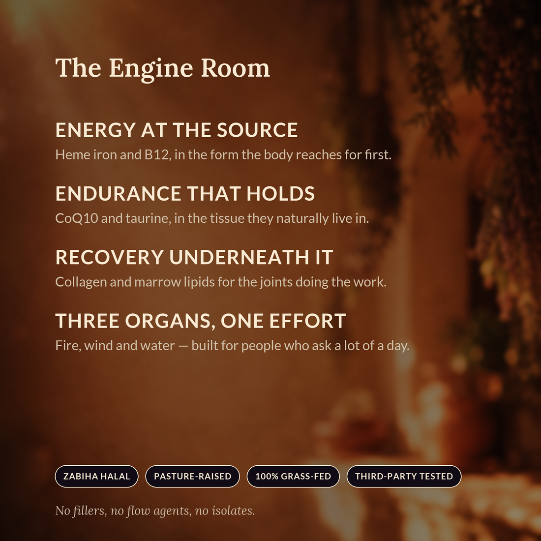 The Engine Room — Vitality Boost bundle benefits panel
