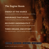 The Engine Room — Vitality Boost bundle benefits panel